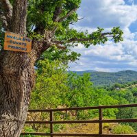 Bosna a Srbsko – foto 3