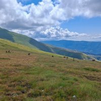 Bosna a Srbsko – foto 9