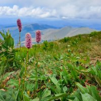 Bosna a Srbsko – foto 17
