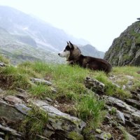 Pohoří Fagaraš – foto 121