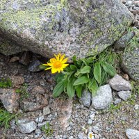 Východná Vysoká – foto 13
