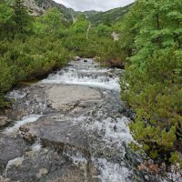 Východná Vysoká – foto 4