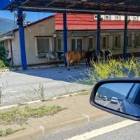 Hraniční přechod Albánie x Kosovo