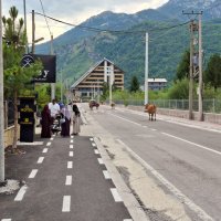 EU a People of Japan se zde podílejí na budování infrastruktury, krávy tu zjevně byly první