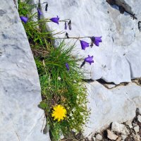 Balkánský trojboj – foto 30