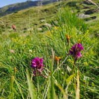 Balkánský trojboj – foto 30