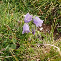 Pohoří Fagaraš – foto 135