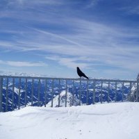 Schladming, Dachstein – foto 29