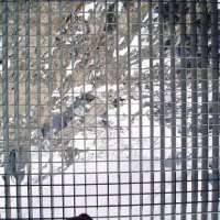 Schladming, Dachstein – foto 35