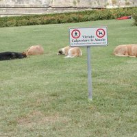 Pisa, Řím, Pompeje, Florencie, Benátky, Verona – foto 48